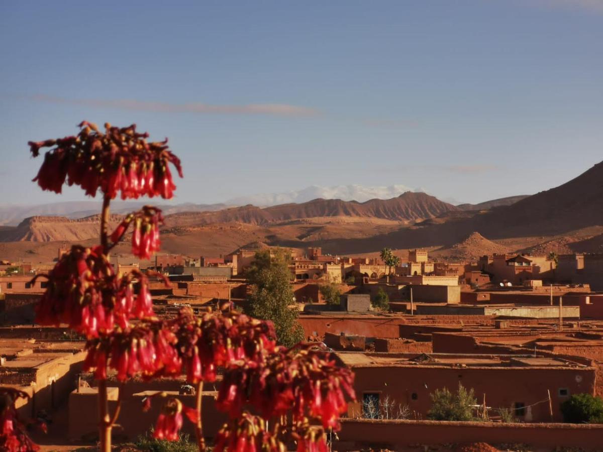 Riad Tigmi Du Soleil آيت بن حدو المظهر الخارجي الصورة